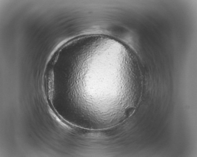 X0000080681468200612151210