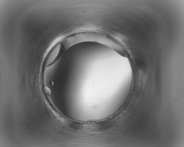 X0000080681469200612151210