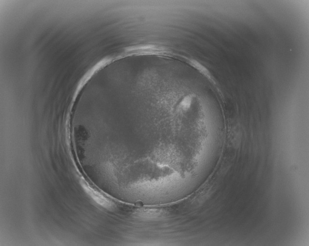 X0000080681474200612151210
