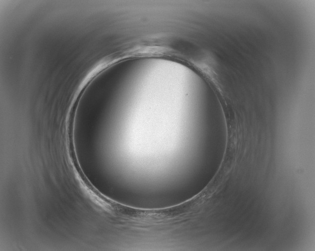 X0000080681475200612151210