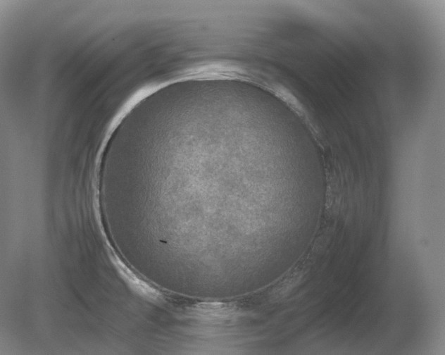 X0000080681478200612151210