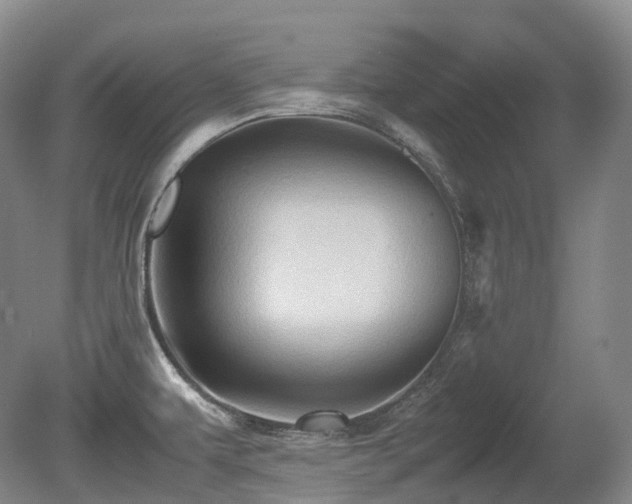 X0000080681479200612151210