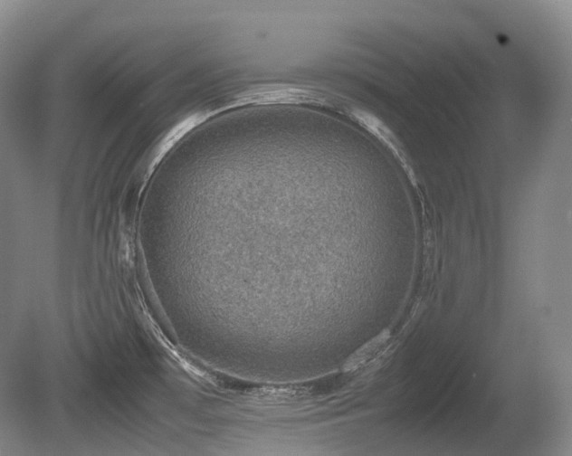 X0000080681481200612151210