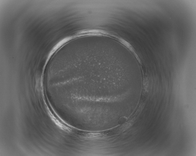 X0000080681482200612151210