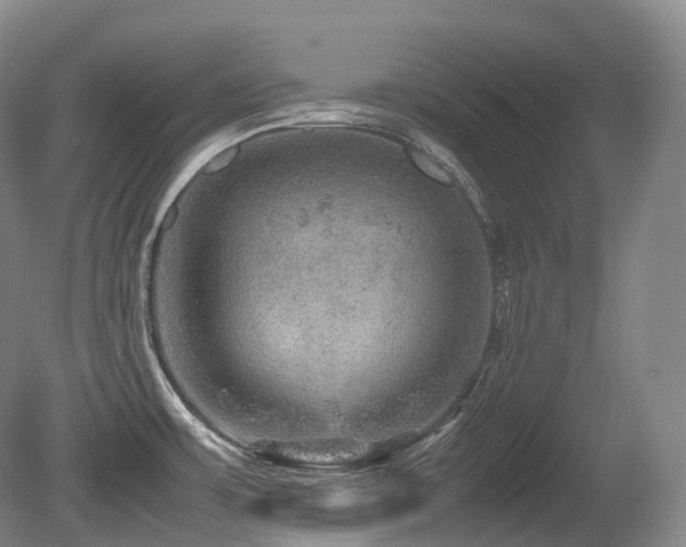 X0000080681483200612151210