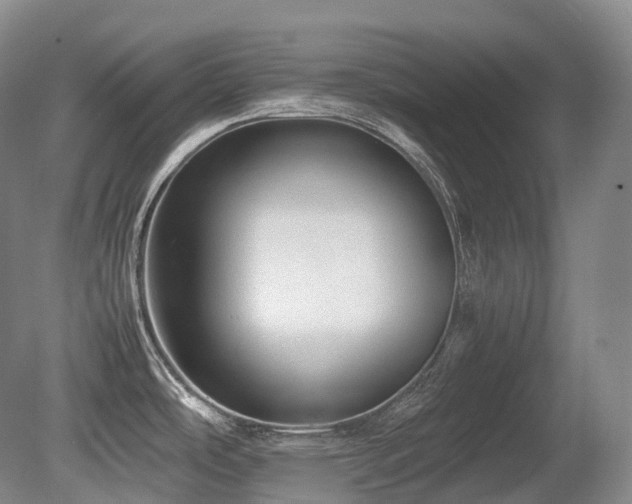 X0000080681486200612151210