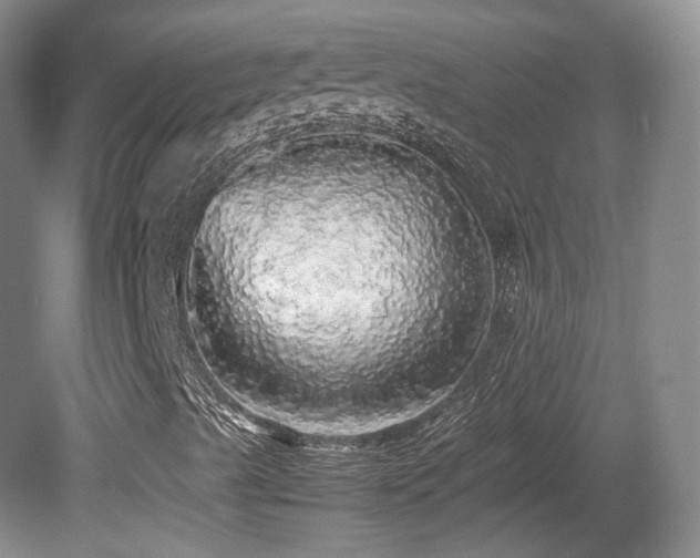 X0000080681489200612151209
