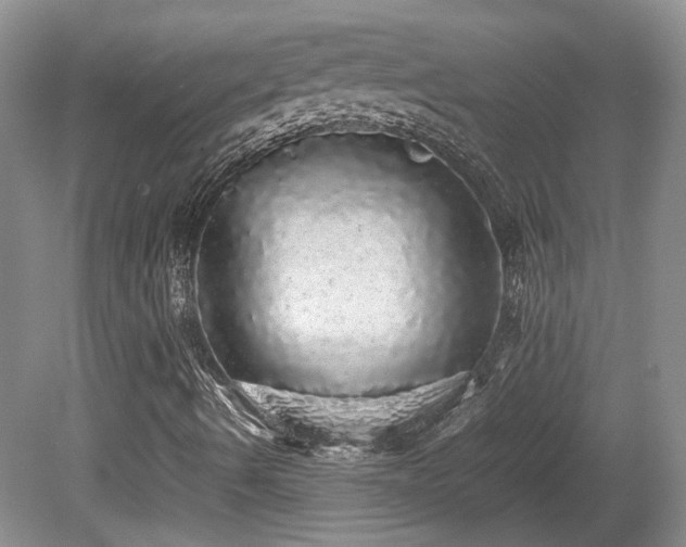 X0000080681490200612151209