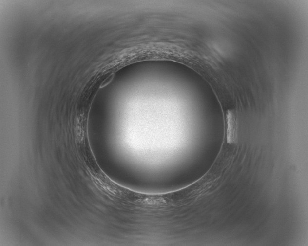 X0000080681491200612151209