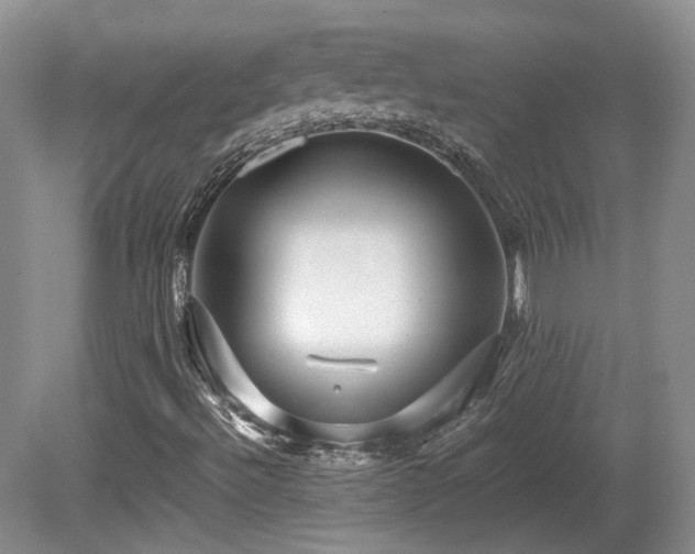 X0000080681492200612151209