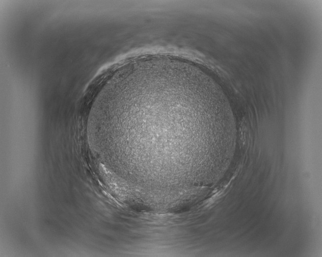 X0000080681494200612151209
