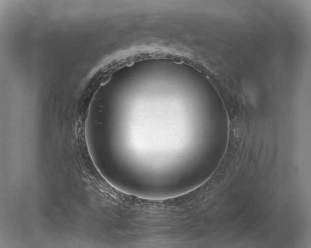 X0000080681495200612151209