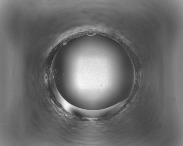 X0000080681496200612151209