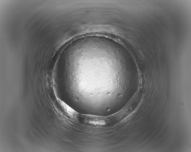 X0000080681497200612151209