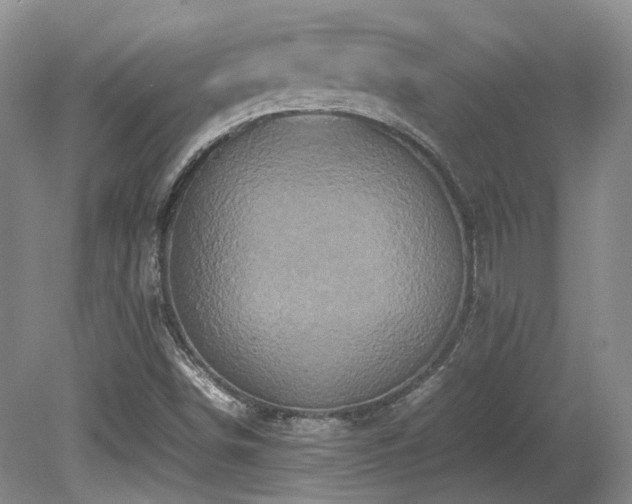 X0000080681498200612151209