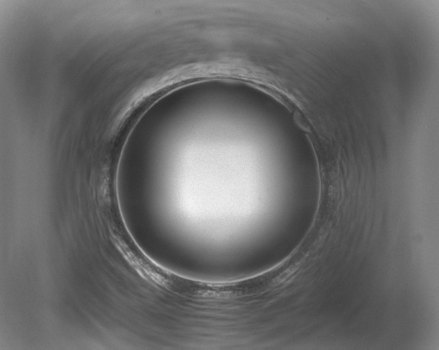 X0000080681499200612151209