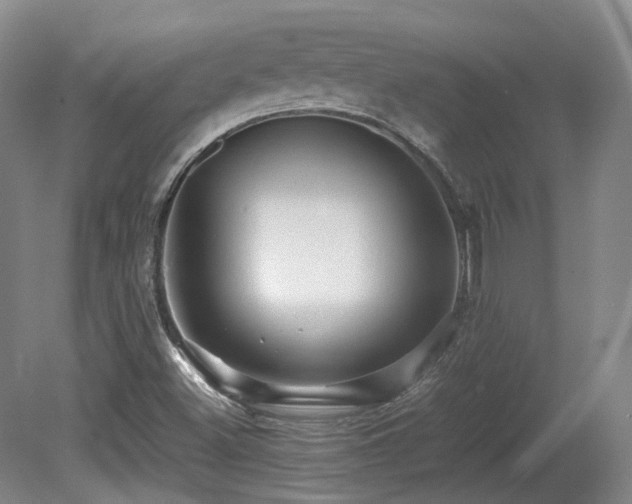 X0000080681500200612151209