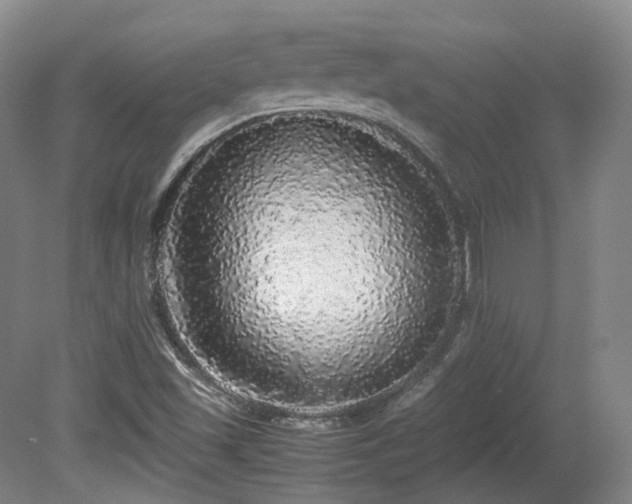 X0000080681501200612151209