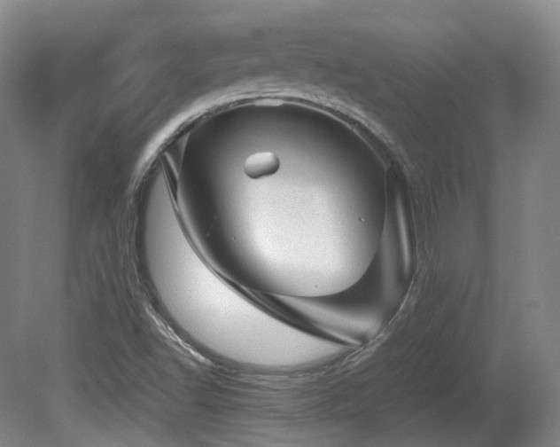 X0000080681502200612151209