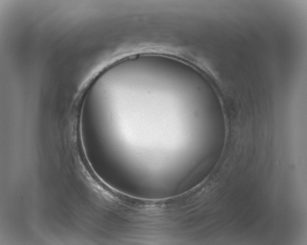 X0000080681504200612151209