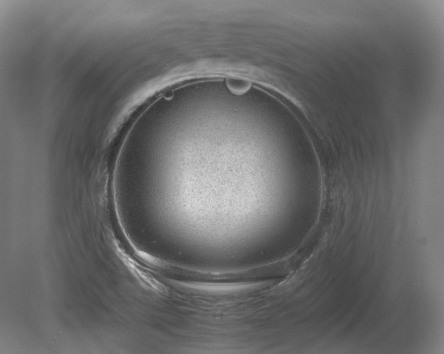 X0000080681507200612151209