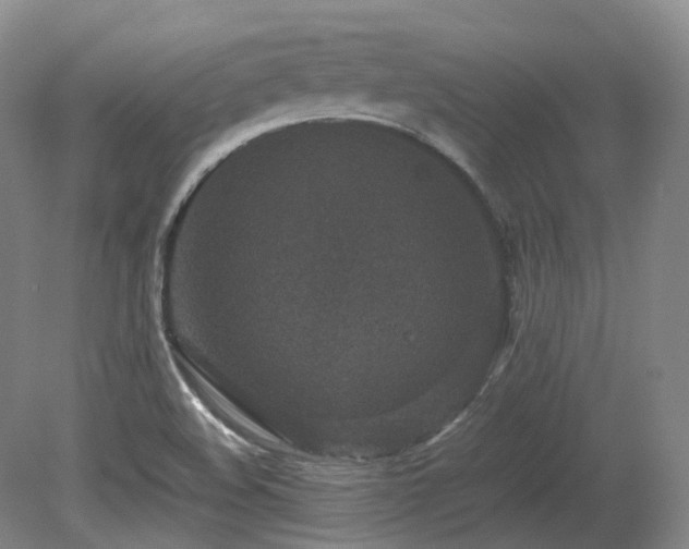 X0000080681508200612151209