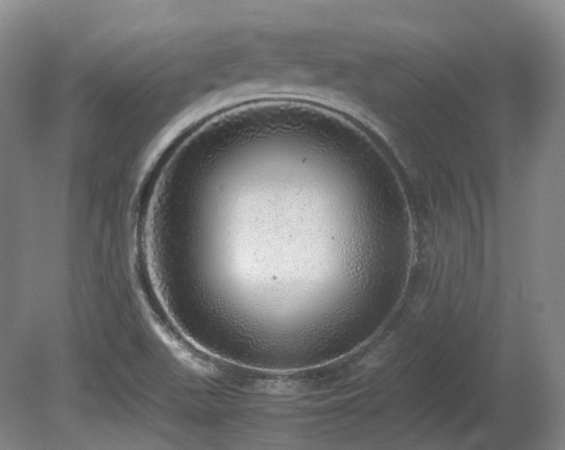 X0000080681511200612151209