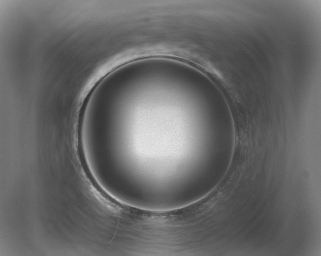 X0000080681512200612151209