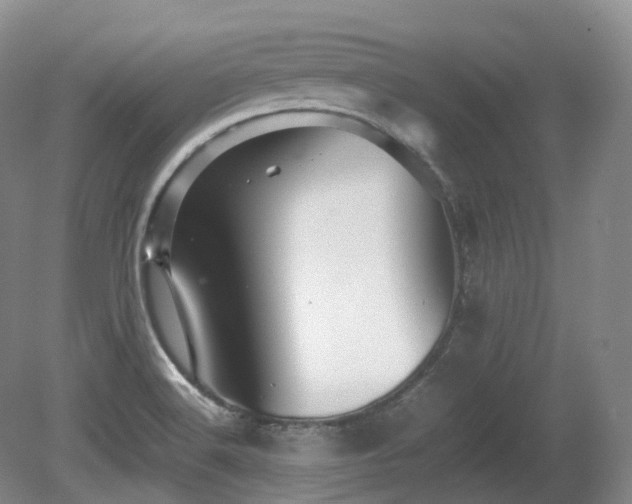 X0000080681516200612151209