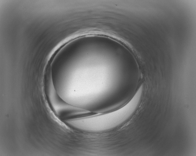 X0000080681518200612151209