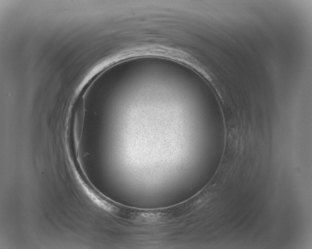 X0000080681523200612151209