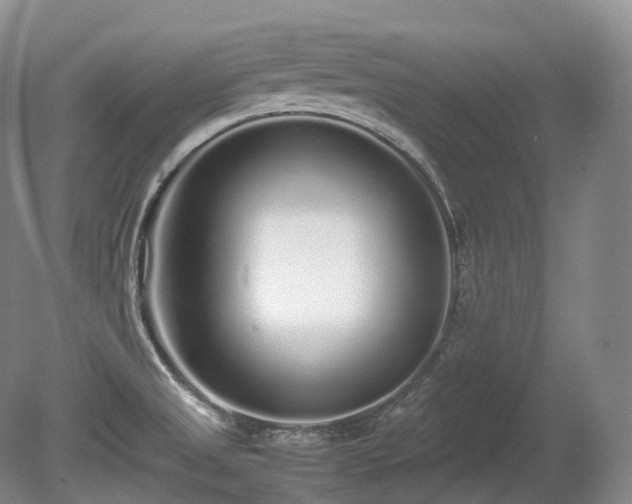 X0000080681525200612151209