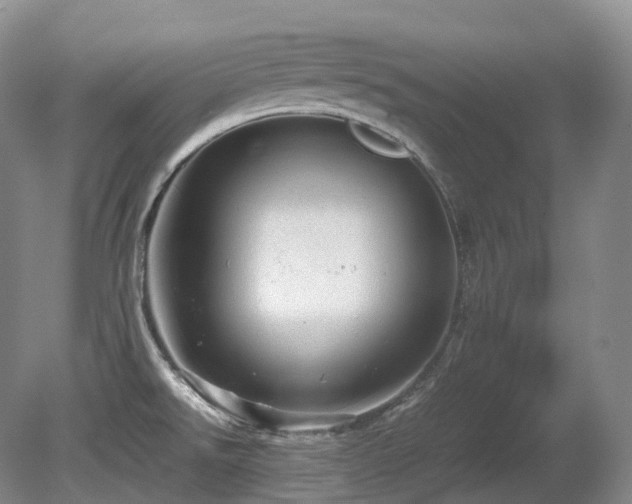 X0000080681526200612151209