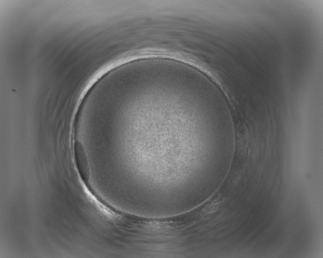 X0000080681527200612151209