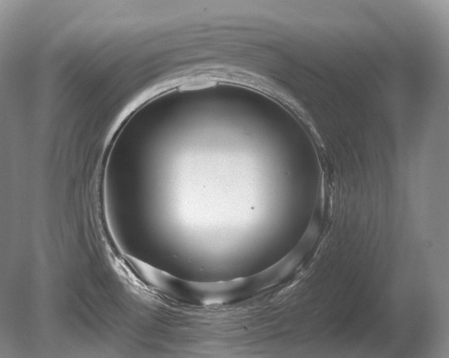 X0000080681530200612151210