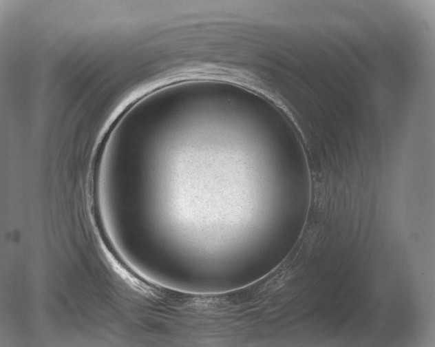 X0000080681531200612151210