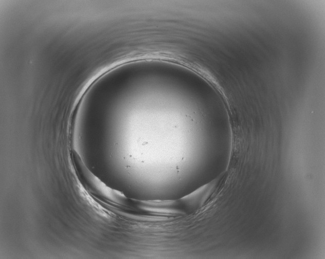 X0000080681532200612151210