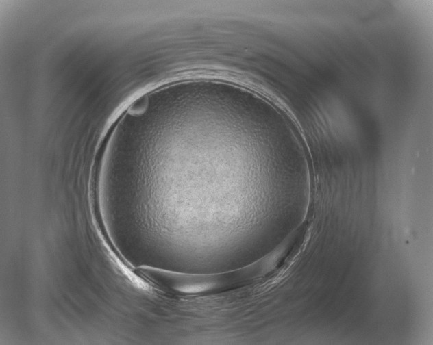 X0000080681533200612151210