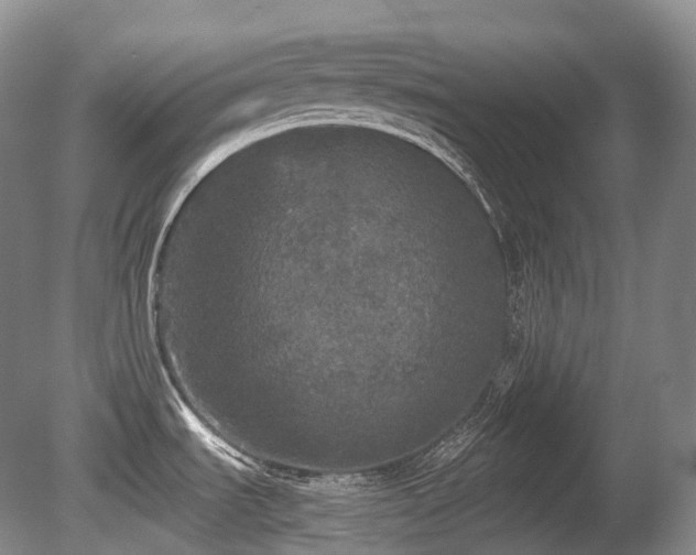 X0000080681535200612151210