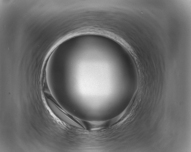 X0000080681536200612151210