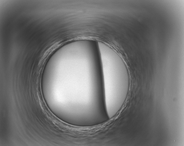 X0000080680001200612221154