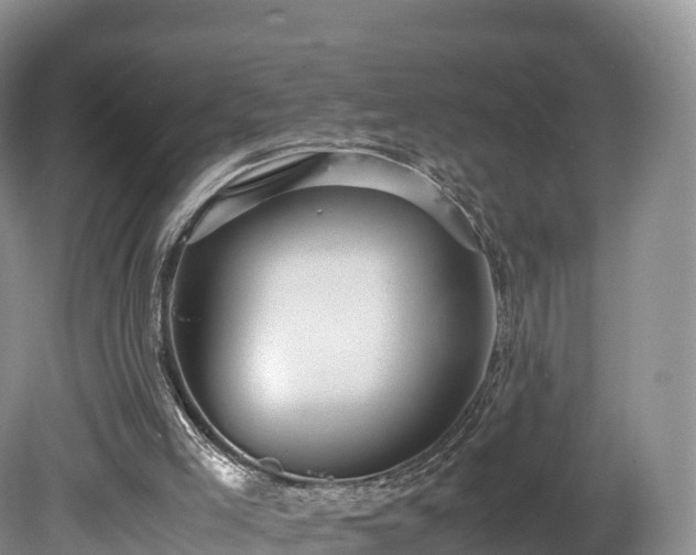 X0000080680005200612221154