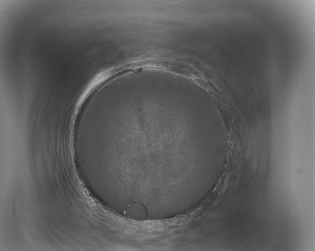 X0000080680006200612221154