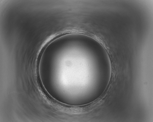 X0000080680008200612221154