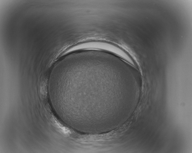 X0000080680009200612221154