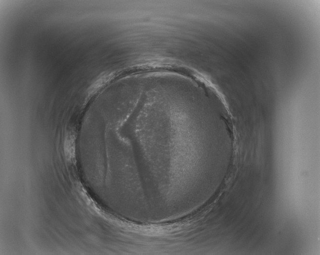 X0000080680010200612221154