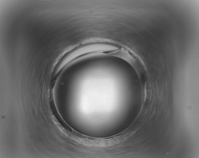 X0000080680015200612221154