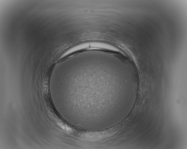 X0000080680017200612221154