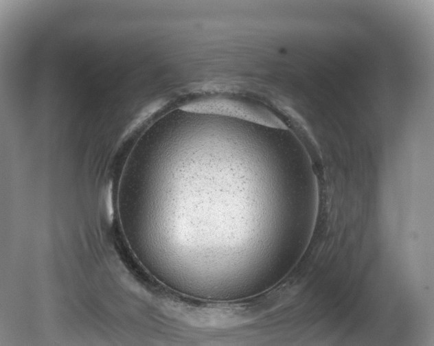 X0000080680020200612221154