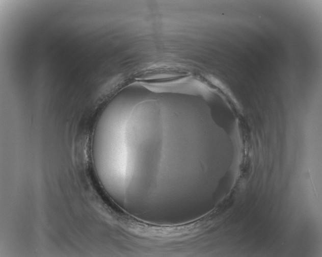 X0000080680023200612221154